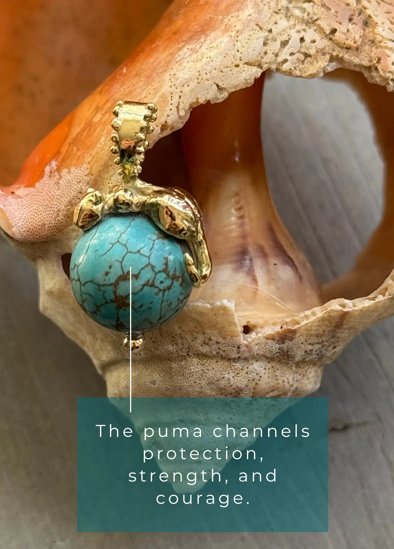 BOHEME TURQUOISE PUMA CHARM In-Stock
