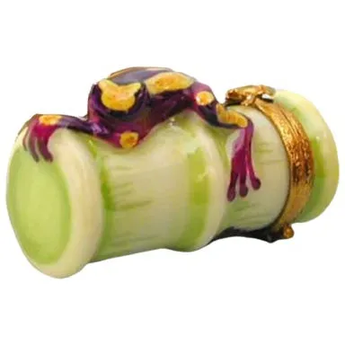 Clown Tree Frog