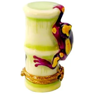 Clown Tree Frog