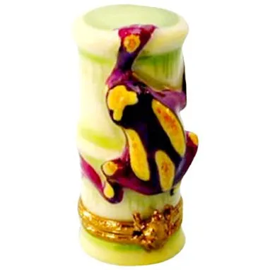 Clown Tree Frog