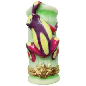 Clown Tree Frog