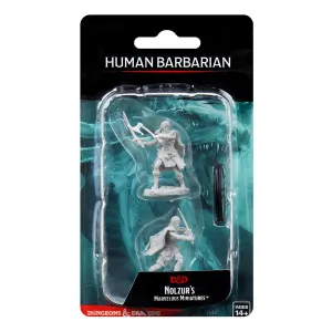 D&D Nolzurs Marvelous Unpainted Miniatures Human Female Barbarian