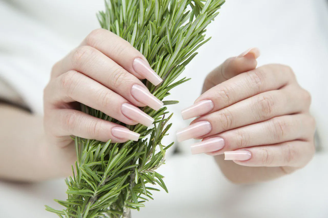 Full Certification Program for Nail Technicians.