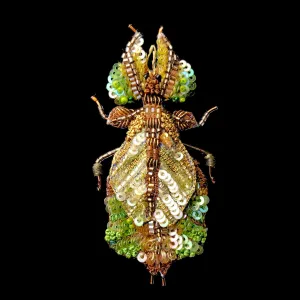 Leaf Bug Pin Brooch