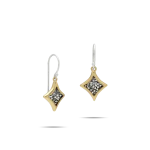 Magna Mini Drop Earrings