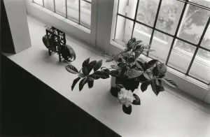 Michiko’s Gardenia, Montreal, 1974