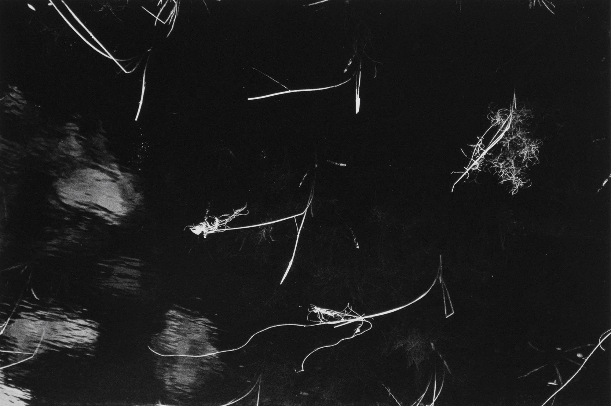 New England, USA, 1969