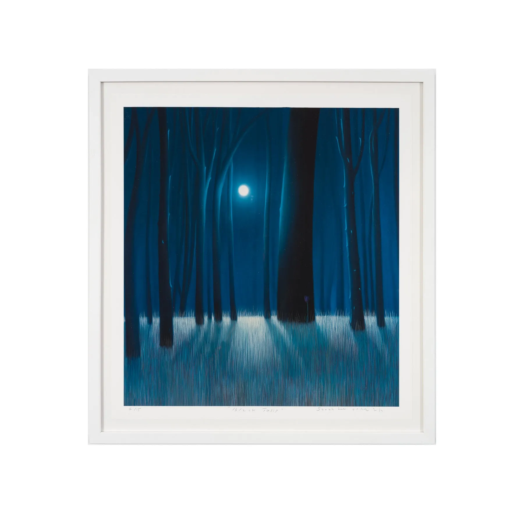 Sarah Lee, The Black Tulip, 2022; Limited Edition Print