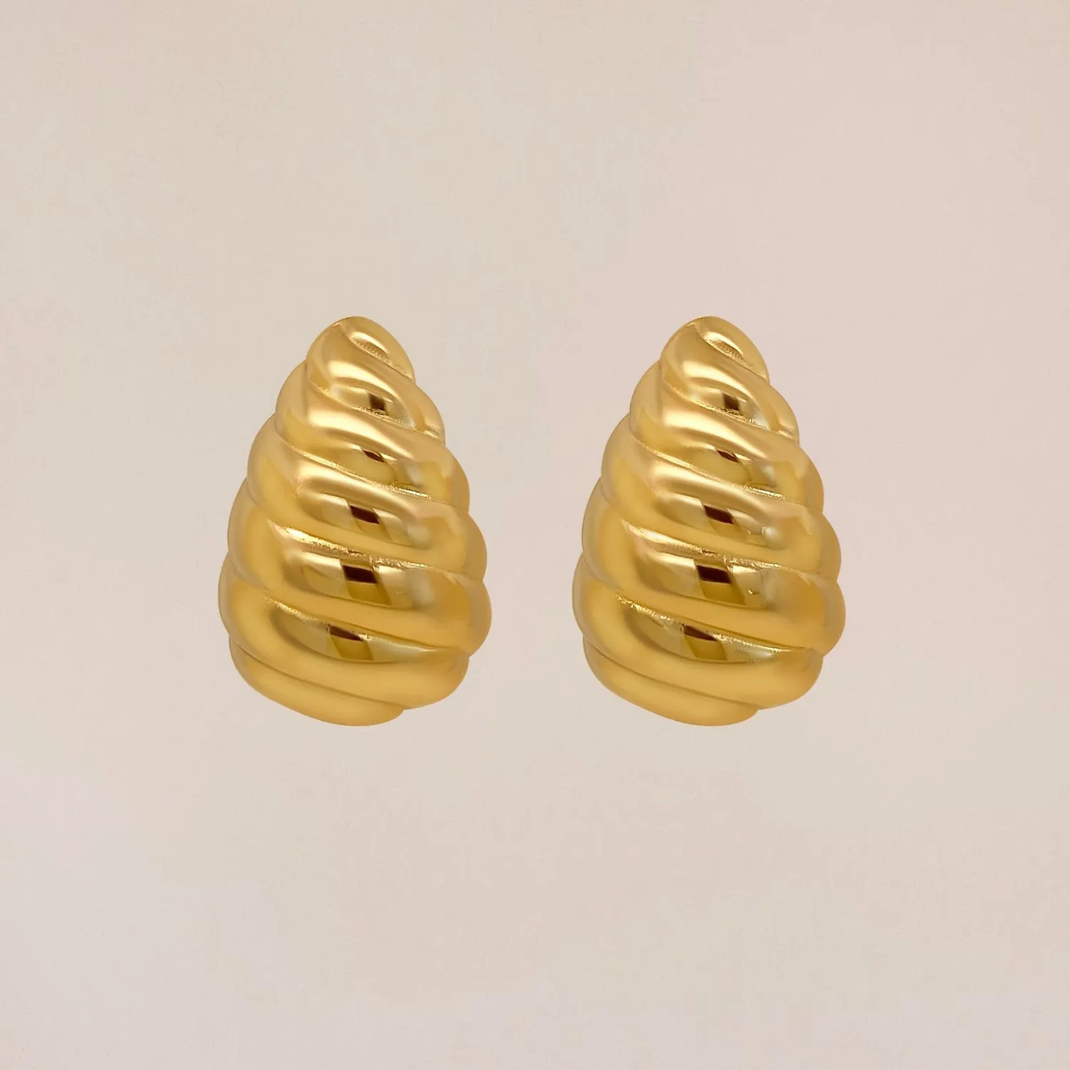 Shell Earrings