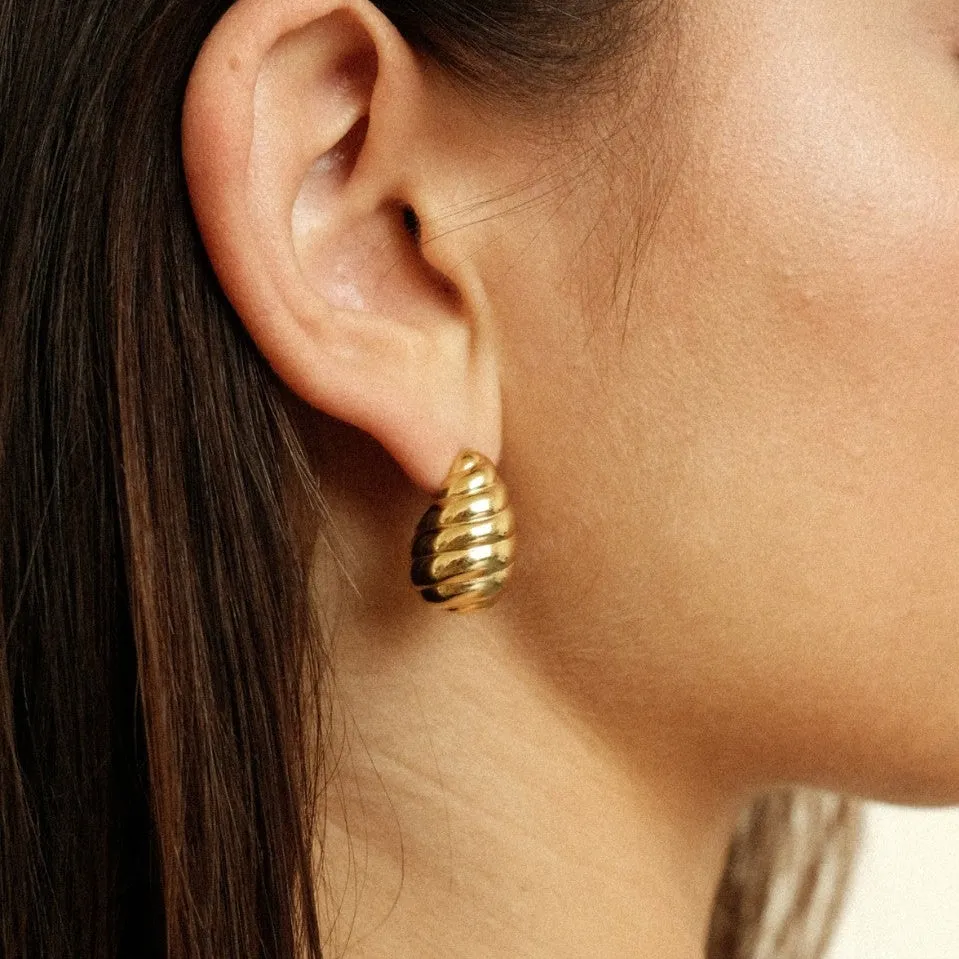 Shell Earrings