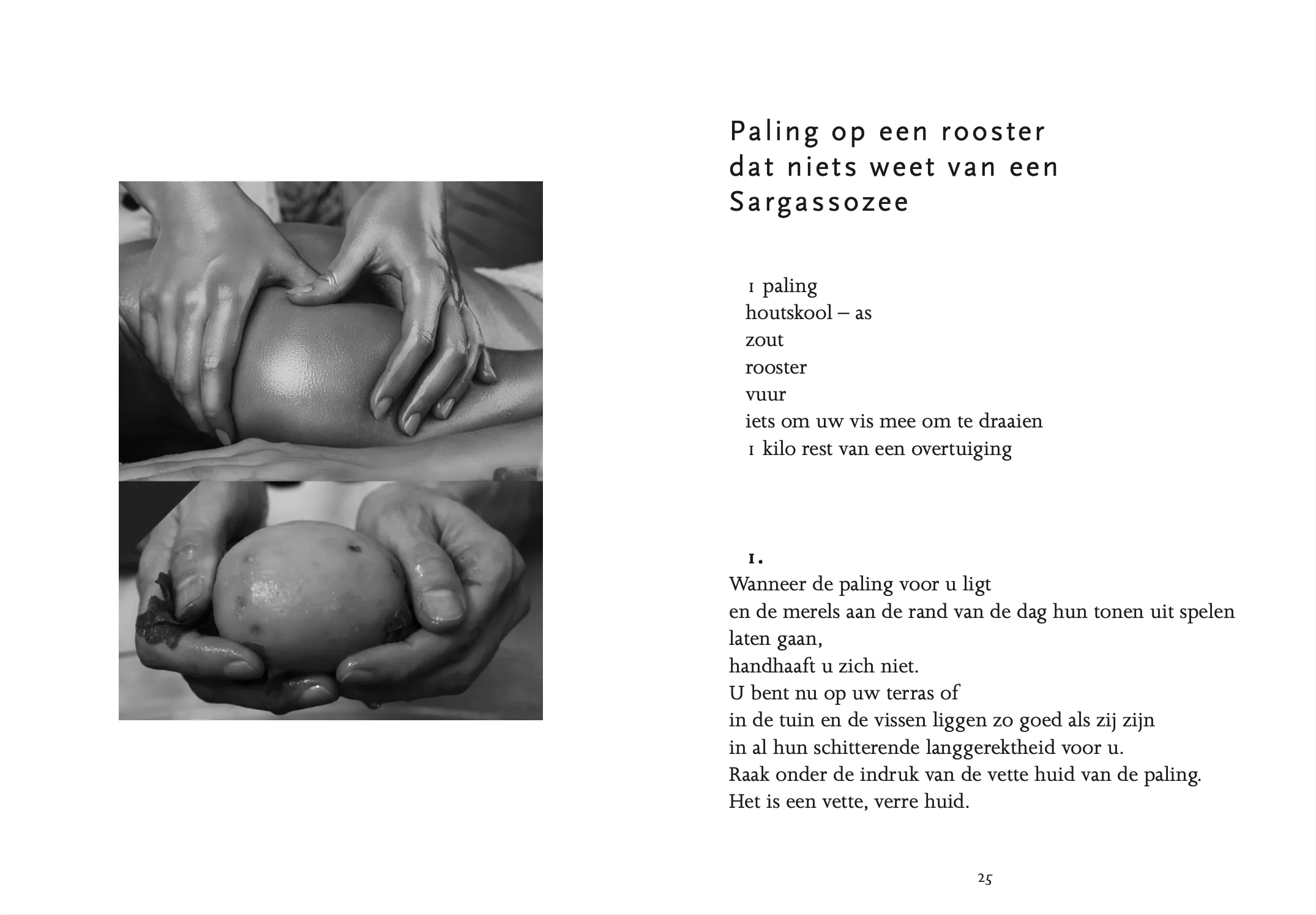 Sneeuweieren / Snow Eggs