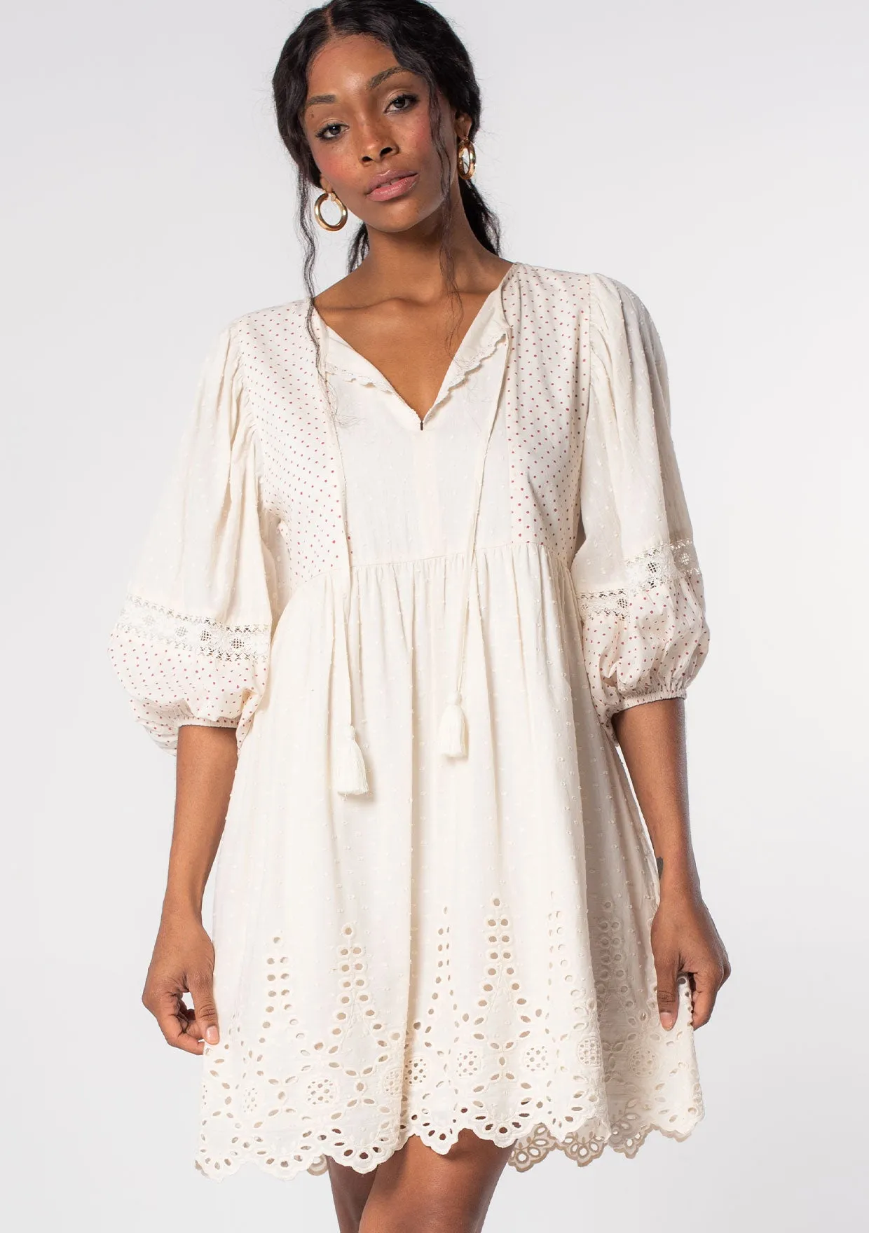 Summer Lovin Embroidered Mini Dress
