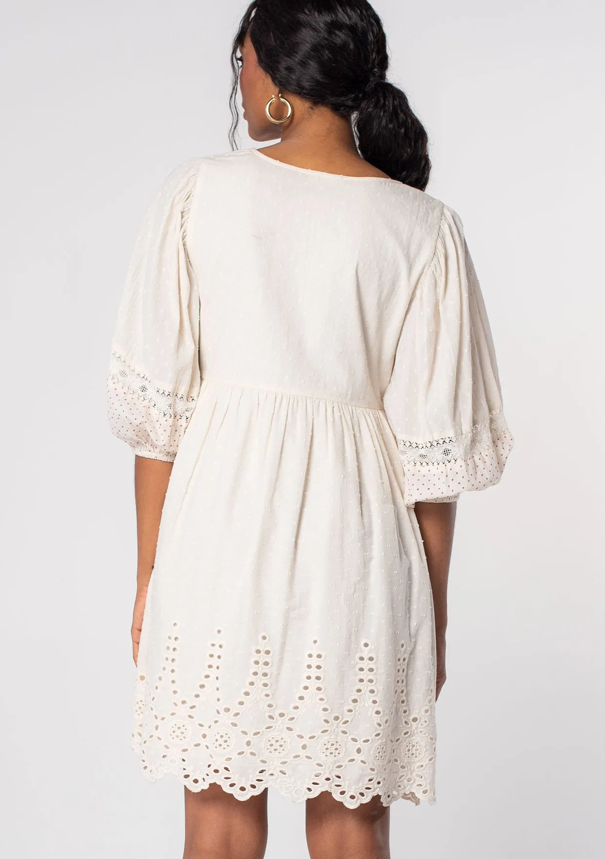Summer Lovin Embroidered Mini Dress